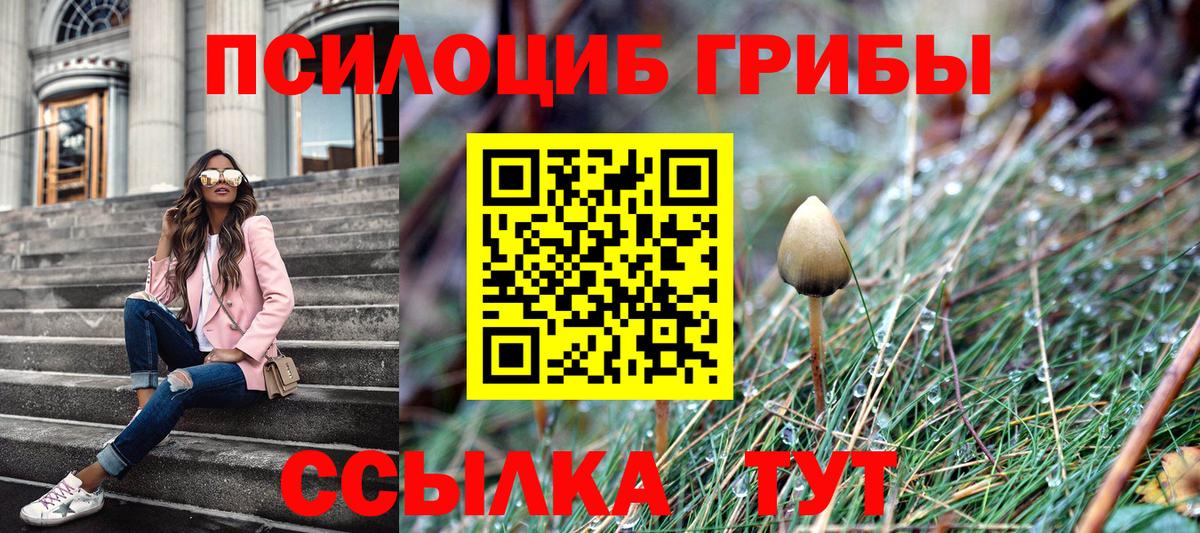Солнечногорск  купить наркоту  Галлюциногенные грибы мицелий  Вход с VPN  Псилоцибиновые грибы мицелий 